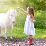 Unicorn Pony And Little Girl 