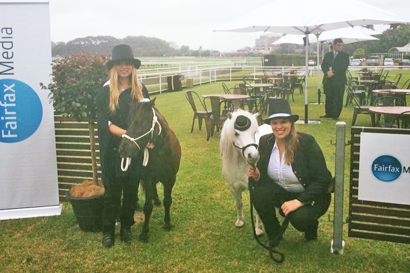Ponies At The Melbourne Cup